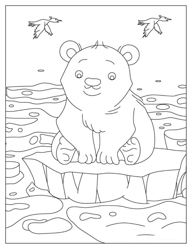 Bayi Beruang Kutub Duduk