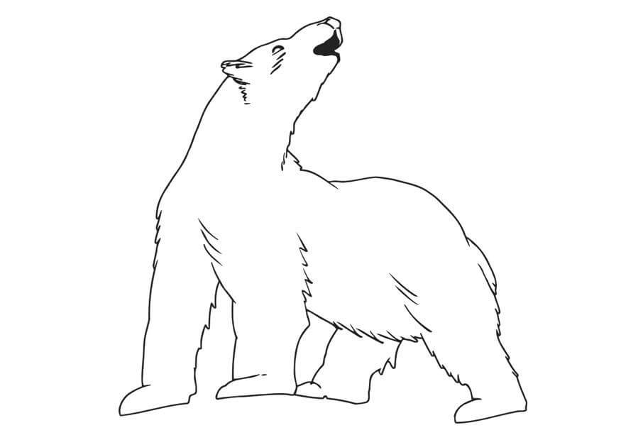 Beruang Kutub yang Dapat Dicetak