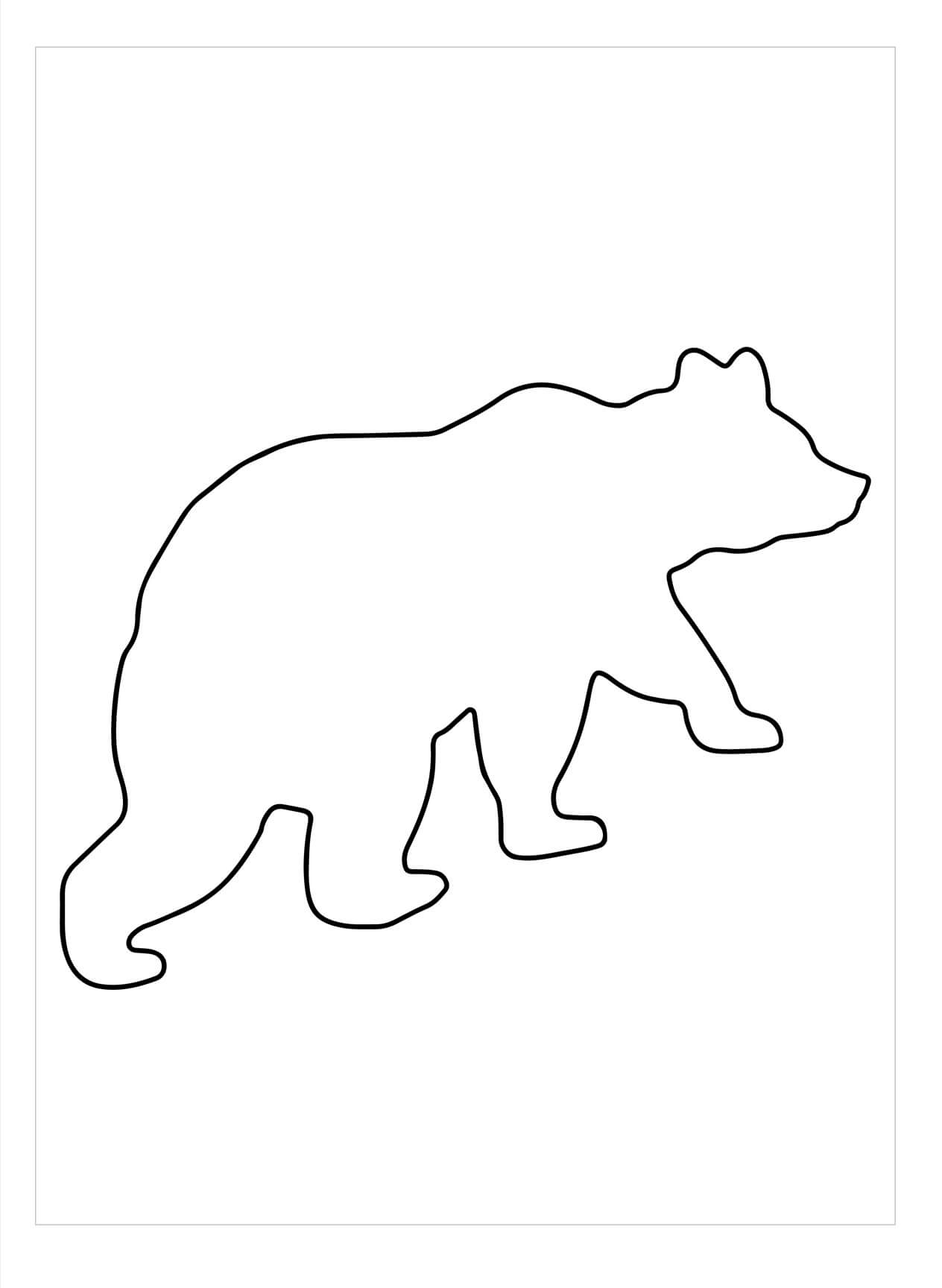 Garis Besar Beruang Kutub