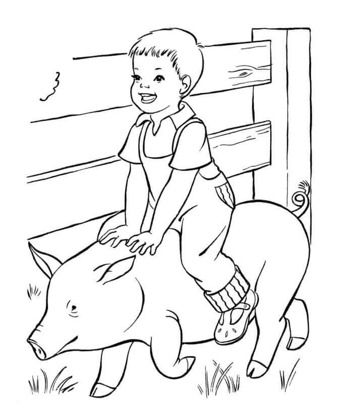 Anak dan Babi di Peternakan