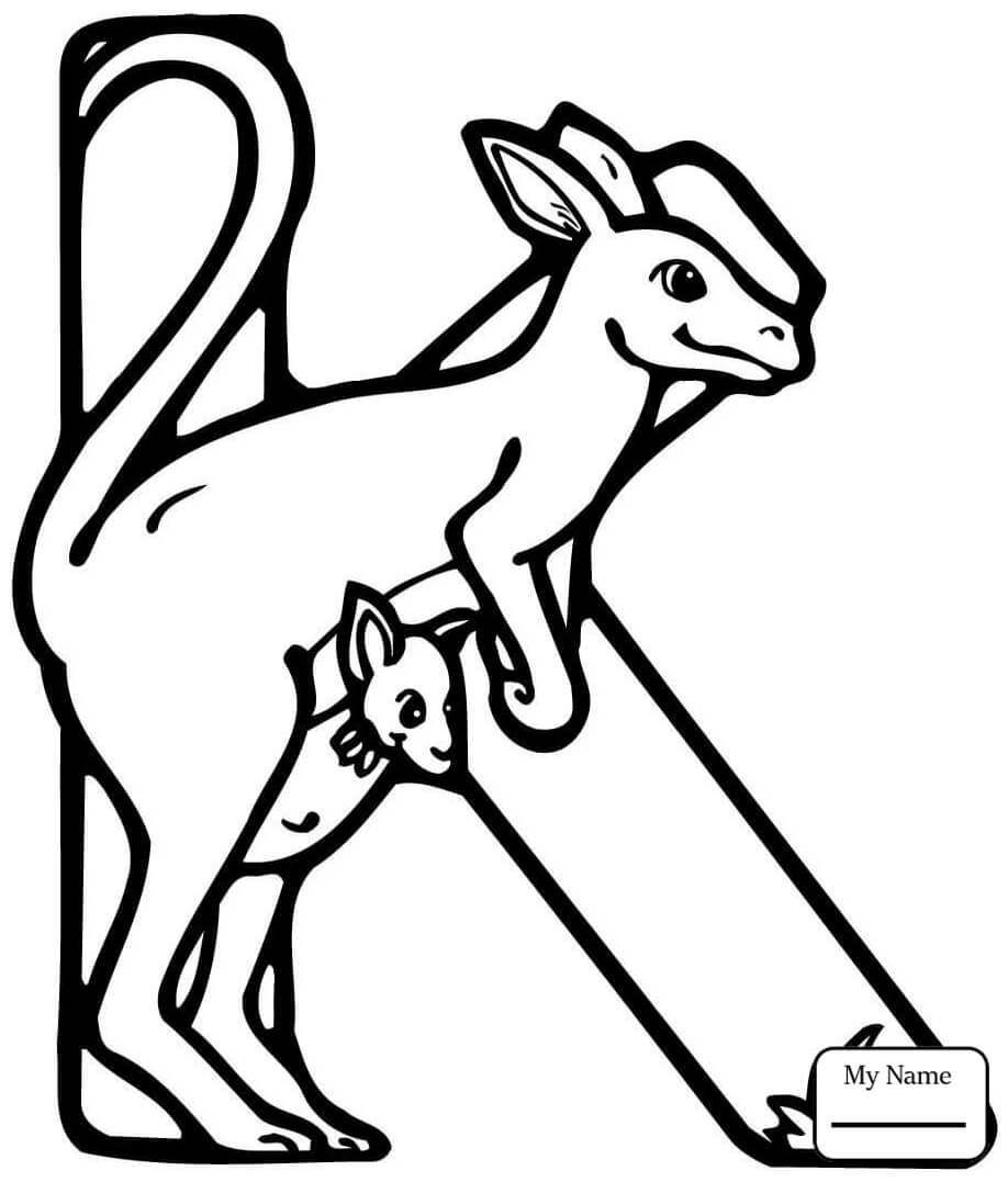 Huruf K Untuk Kanguru