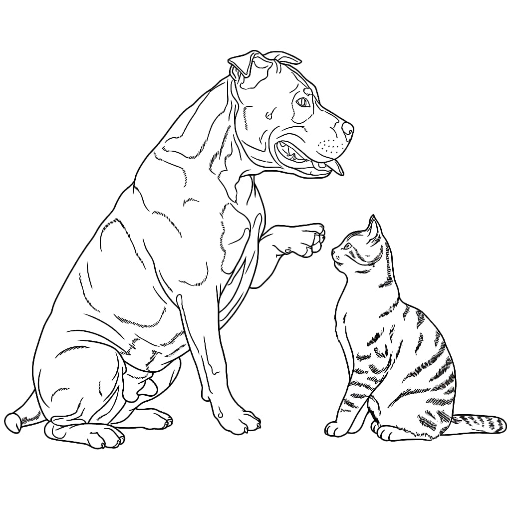 Anjing dan kucing Pitbull