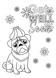 Anjing Lucu Dengan Segera Sembuh