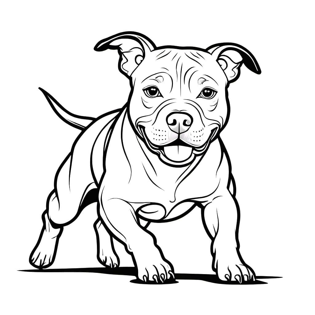 Anjing Pitbull Kecil Lucu