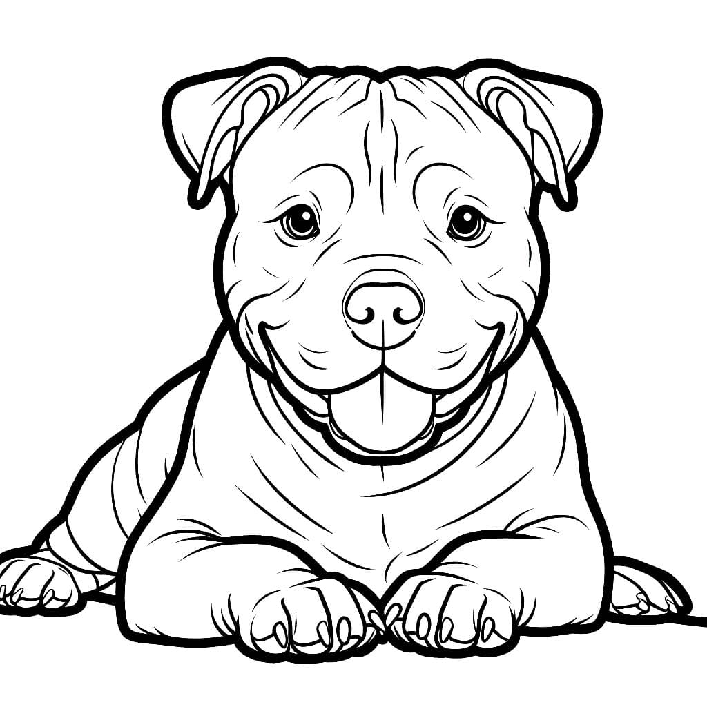 Anjing Pitbull kecil normal