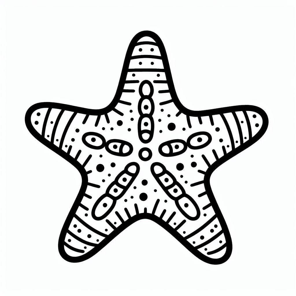 Bintang laut yang mudah