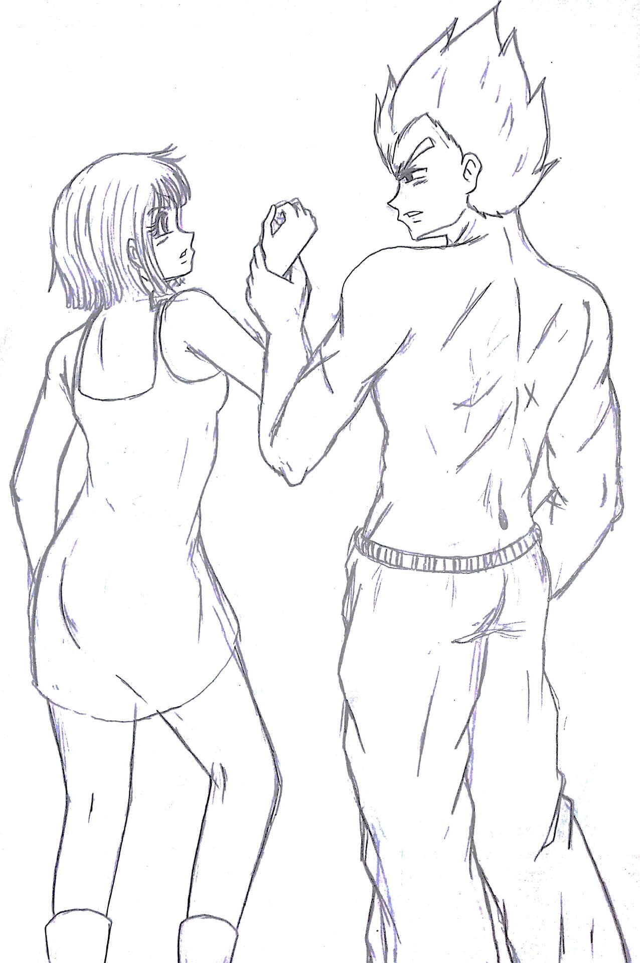 Pasangan Bulma dan Vegeta