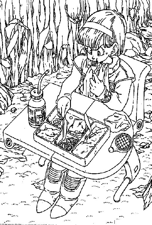 Bulma Makan di Hutan