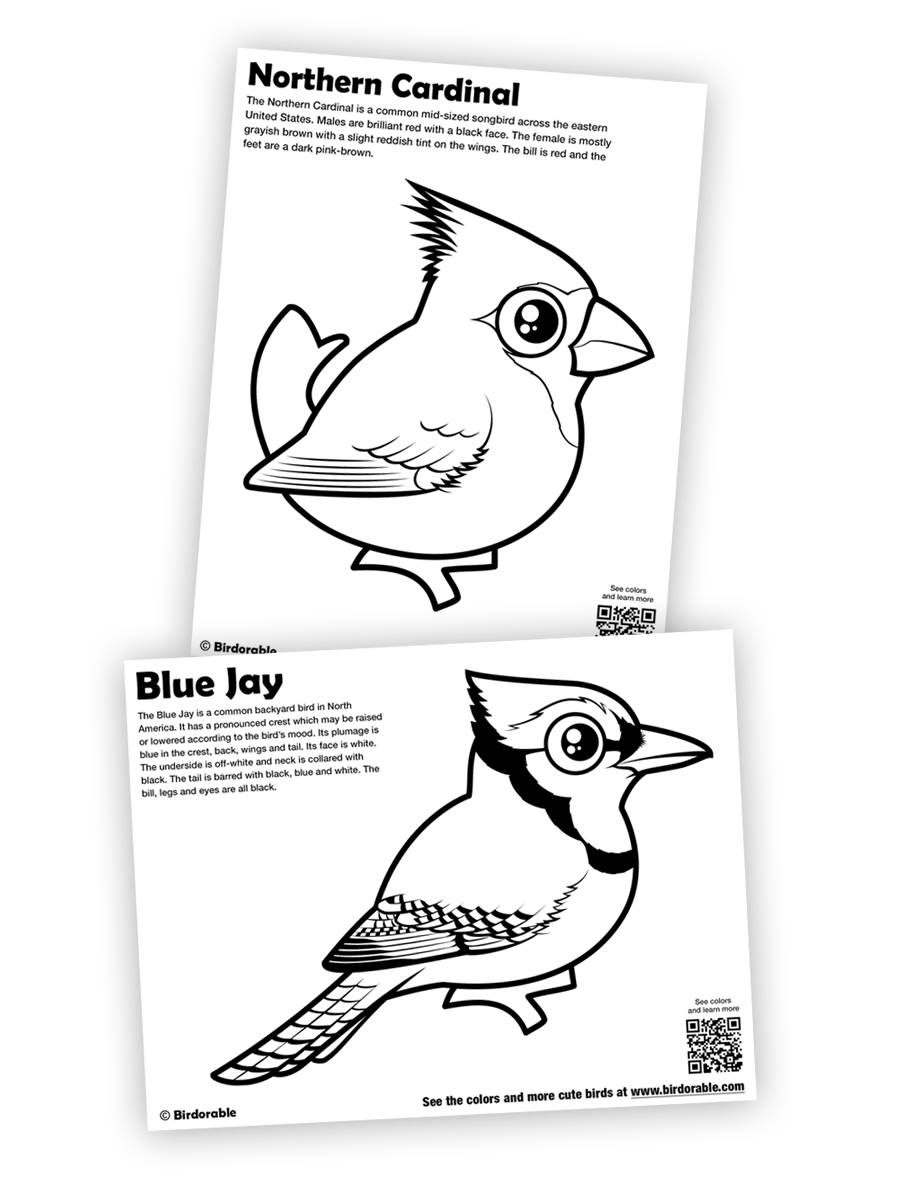 Comel Birdorable Blue Jay dan Kardinal