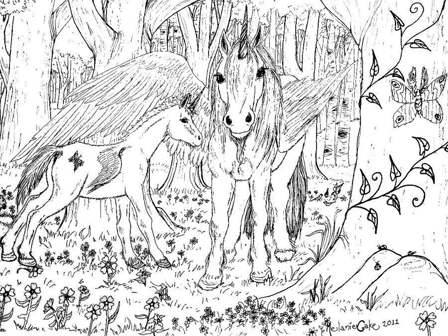 Dua Unicorn Dalam Hutan