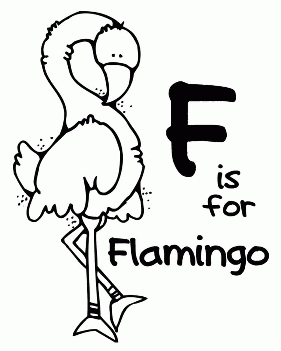 F untuk Flamingo