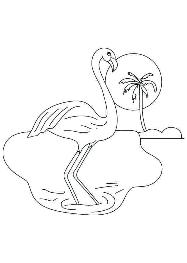 Flamingo di Pulau Kecil