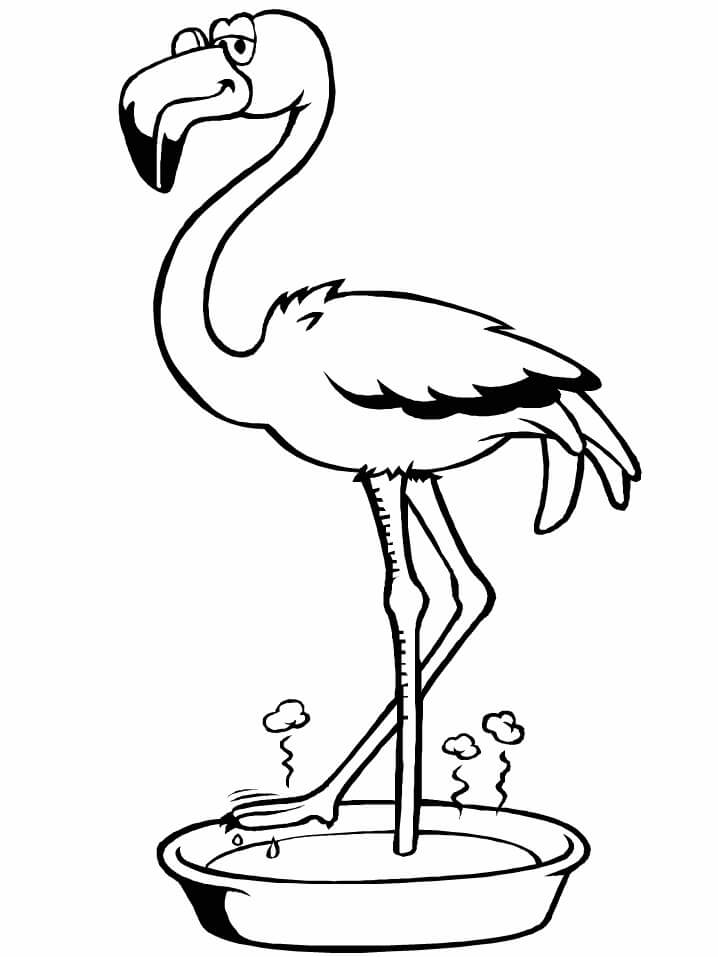 Perendaman Flamingo