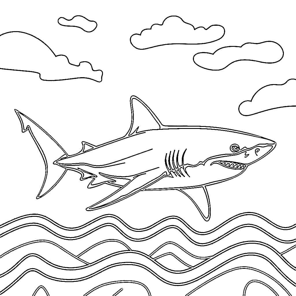 Gambar hiu yang dapat dicetak