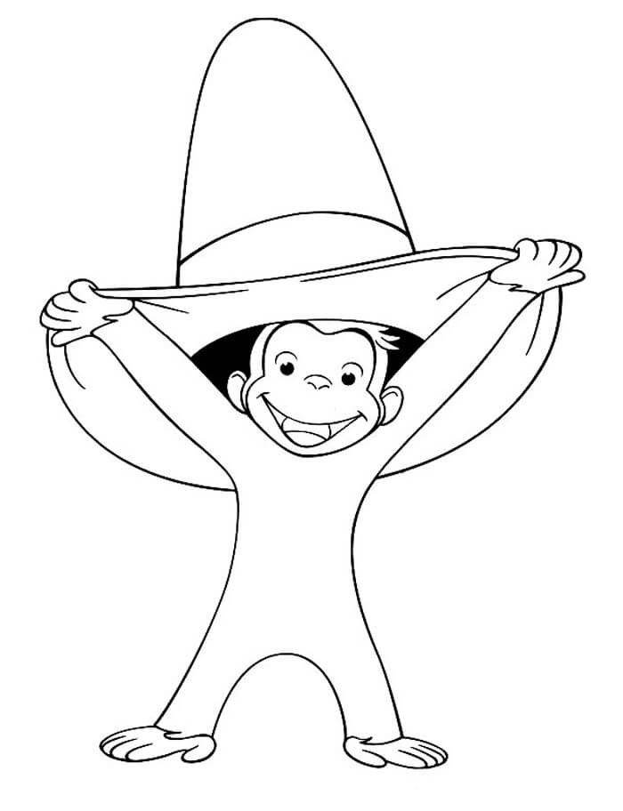 Monyet Bahagia Memegang Topi Besar