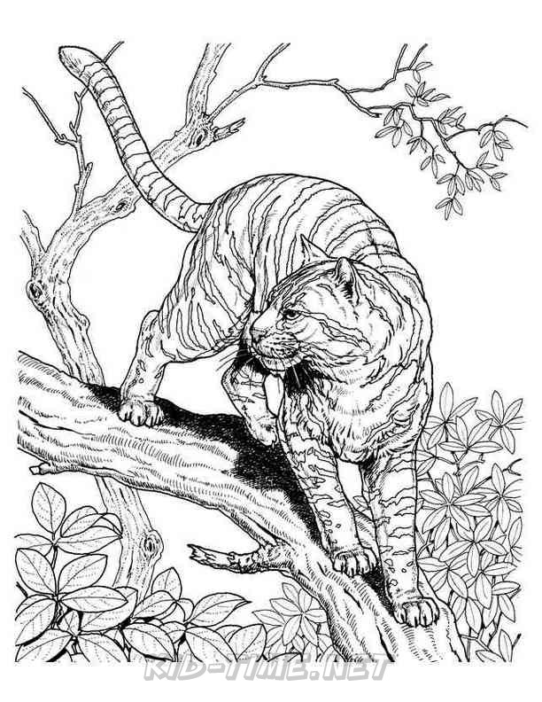Harimau Realistis