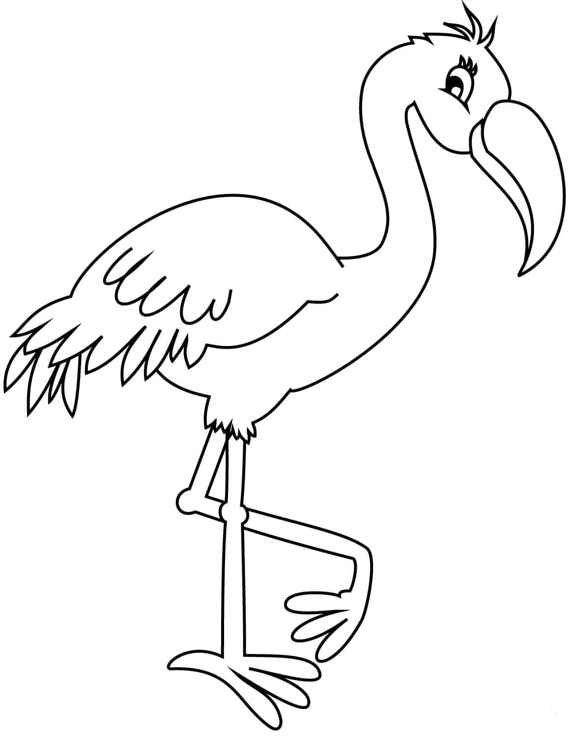 Gambar Flamingo HD