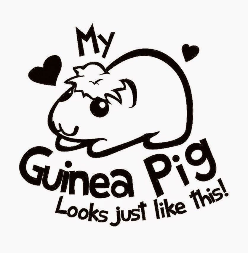 Marmot Saya Terlihat Seperti Ini