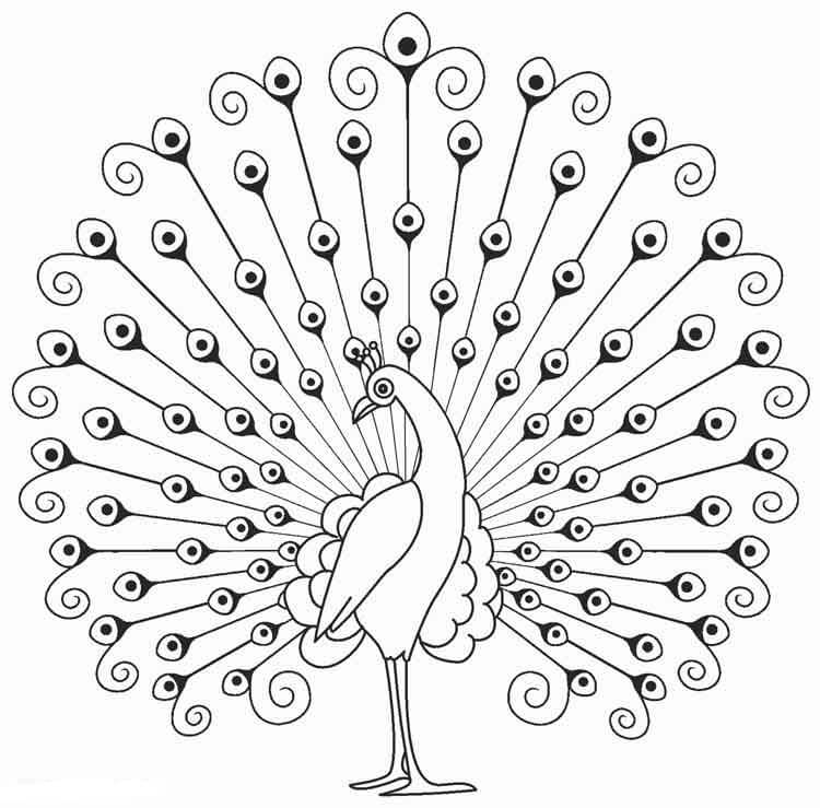 Merak yang Dapat Dicetak