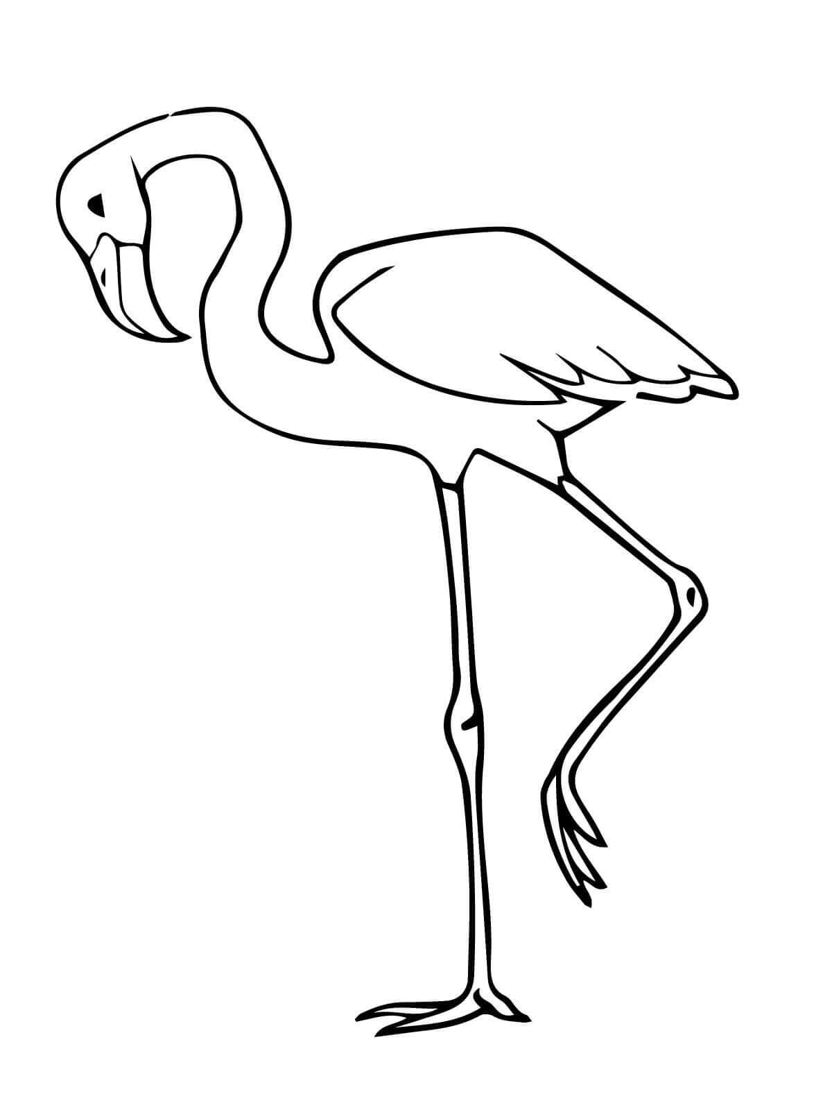 Flamingo Sederhana