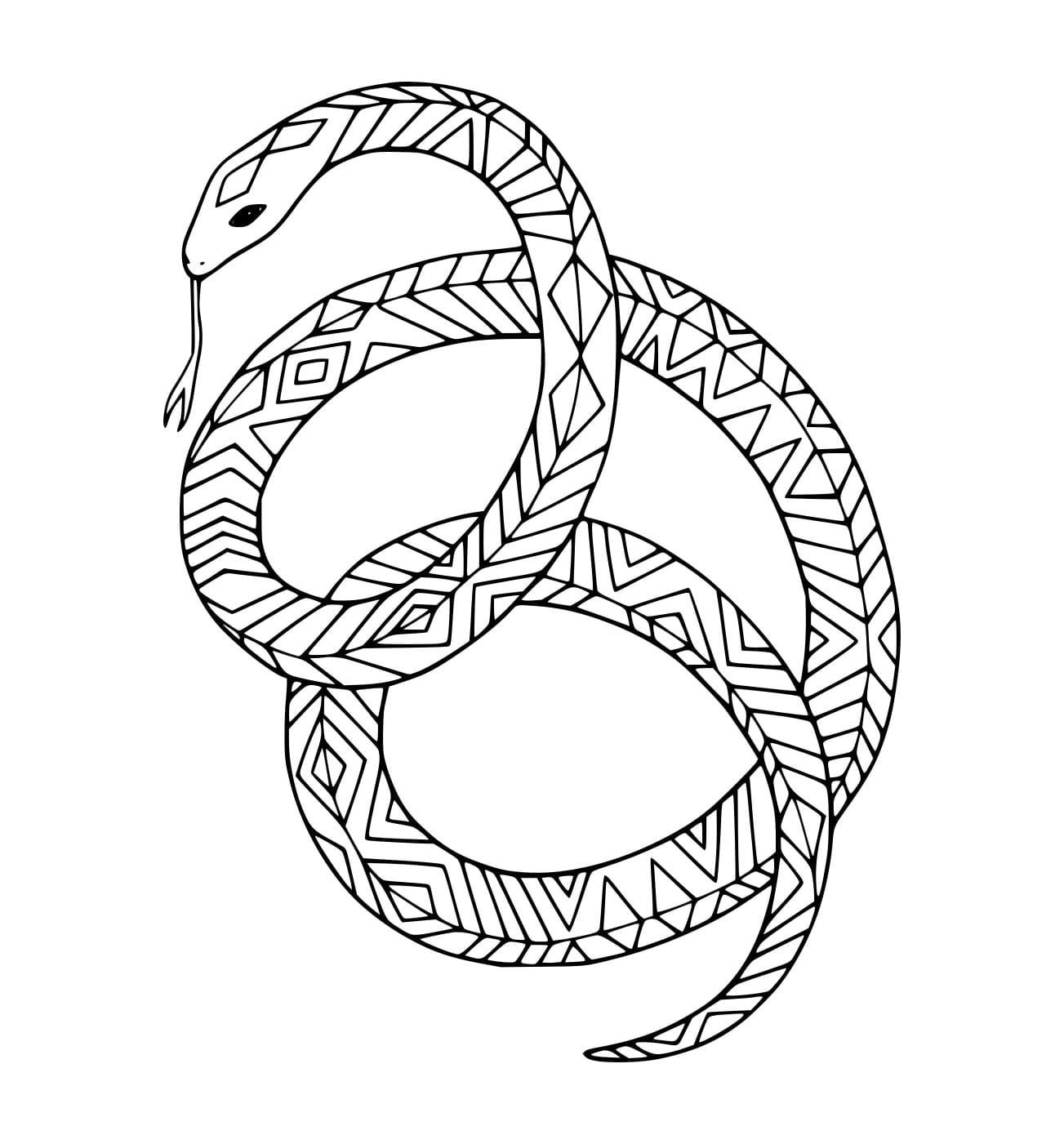 Ular dengan Berbagai Pola