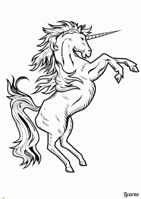 Unicorn Besar Marah