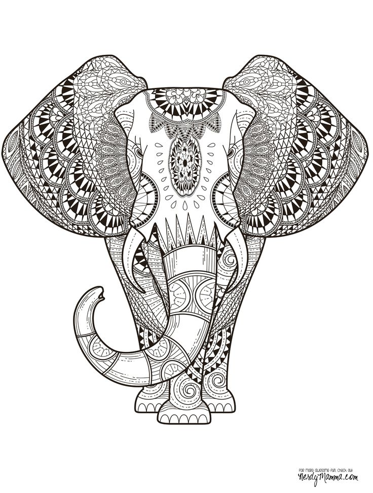 Wajah Gajah Mandala