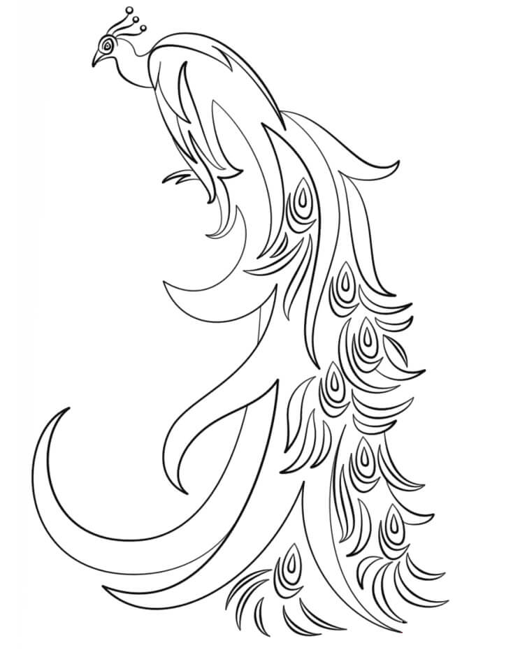 Merak Yang Luar Biasa