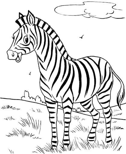 Zebra Liar