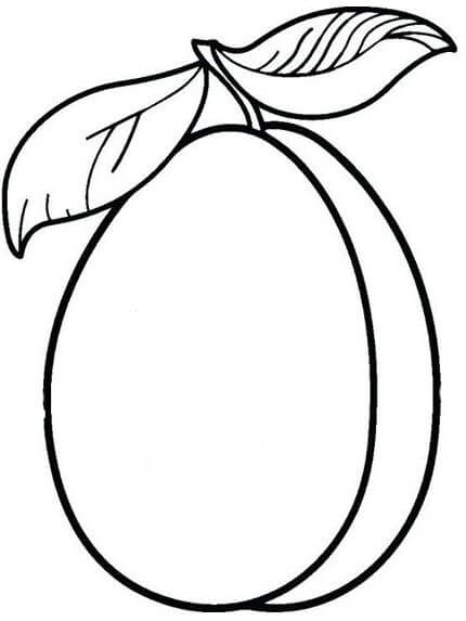 Jambu Biji yang Indah