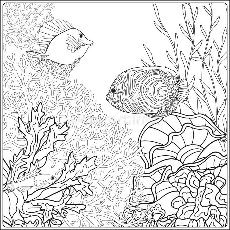 Karang yang Indah Dan Dua Ikan