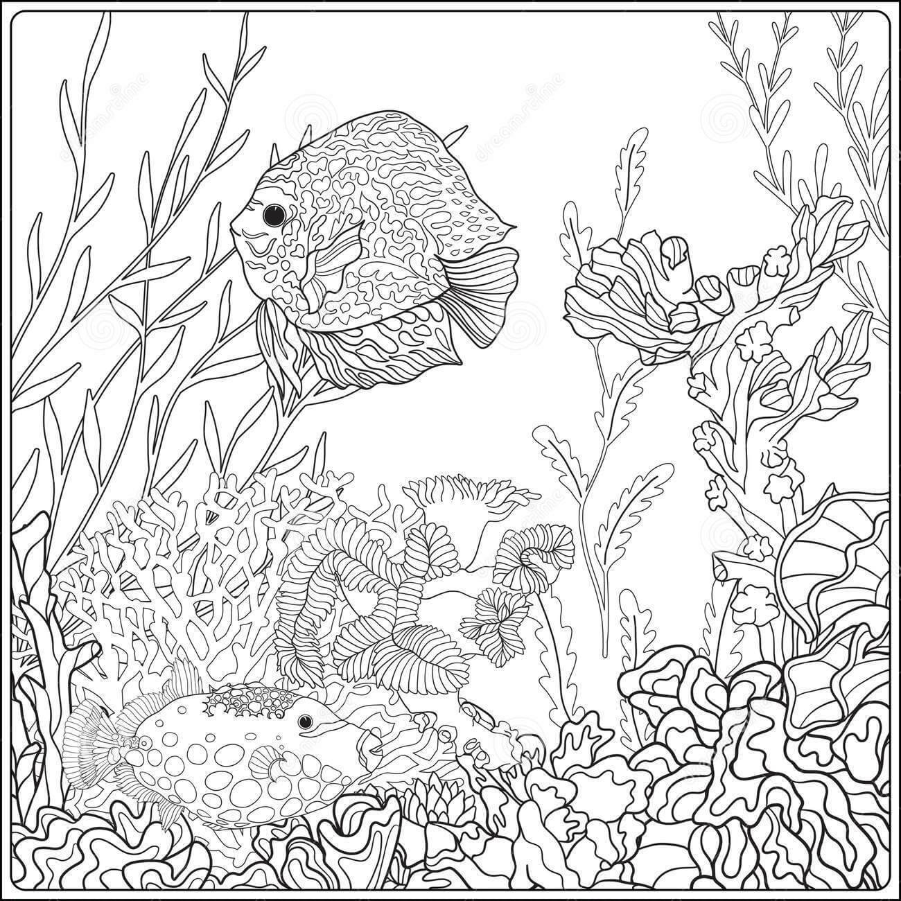 Karang Indah di Laut