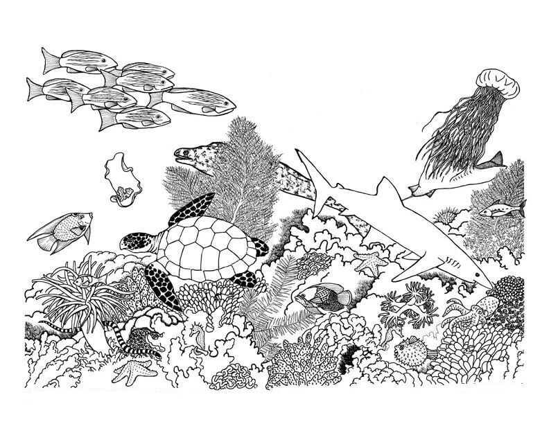 Warnai Terumbu Koral