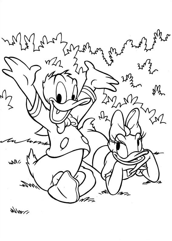 Donald dan Daisy Lucu