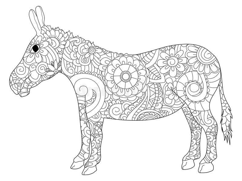 Keledai untuk Dewasa