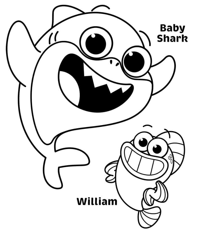 Hiu Bayi dan William Lucu