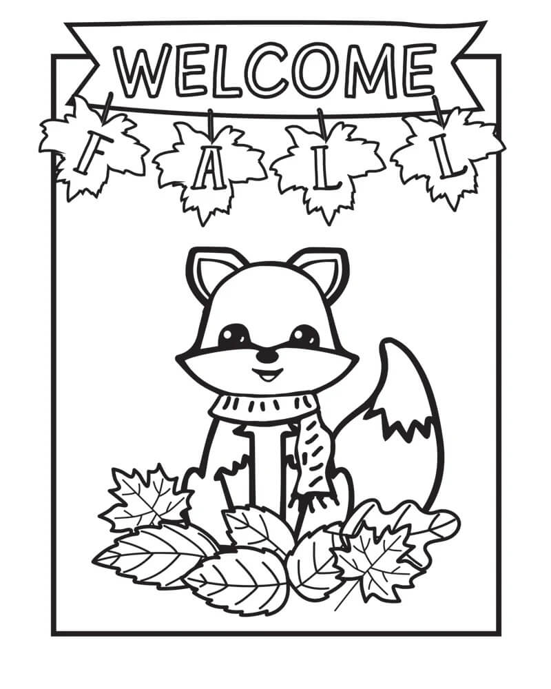 Rakun dan Daun Di Musim Gugur