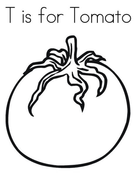 T untuk Tomat