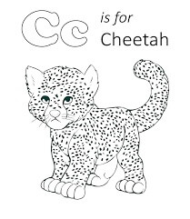 C Adalah Untuk Cheetah