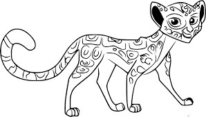 Cheetah Adult