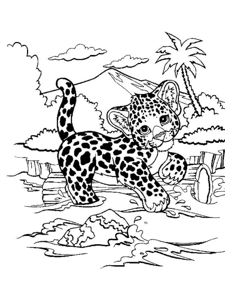 Cheetah di Sungai