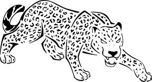 Cheetah yang Marah