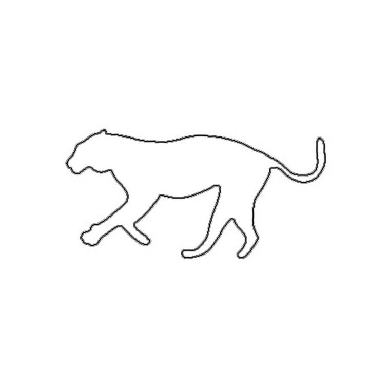 Garis Besar Cheetah