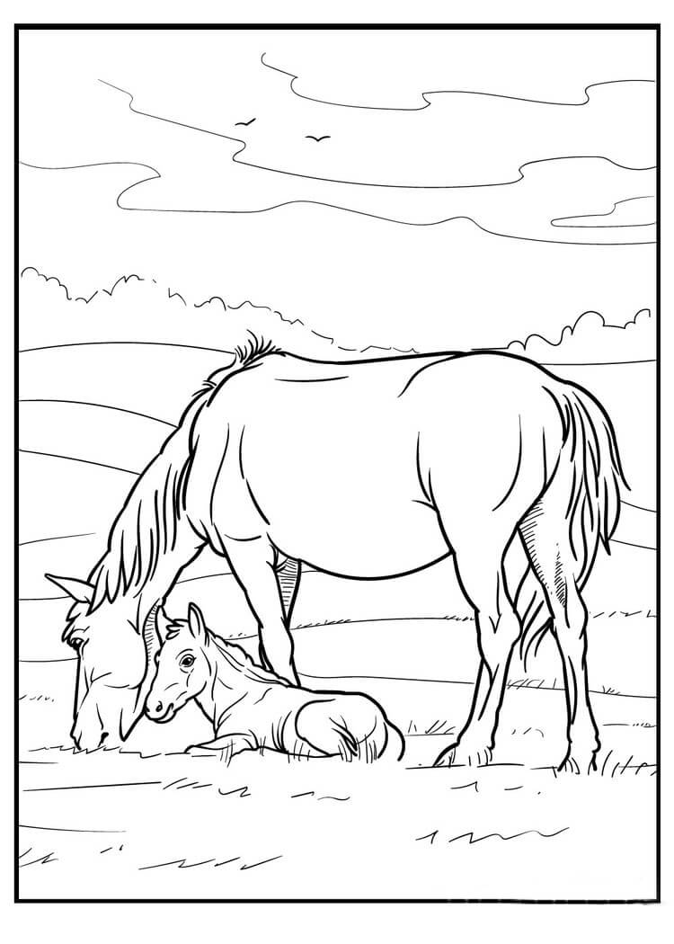 Ibu Kuda dan Bayi Kuda