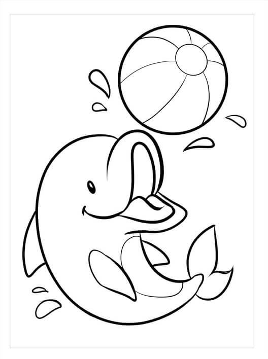 Bayi Lumba-lumba dengan Bola