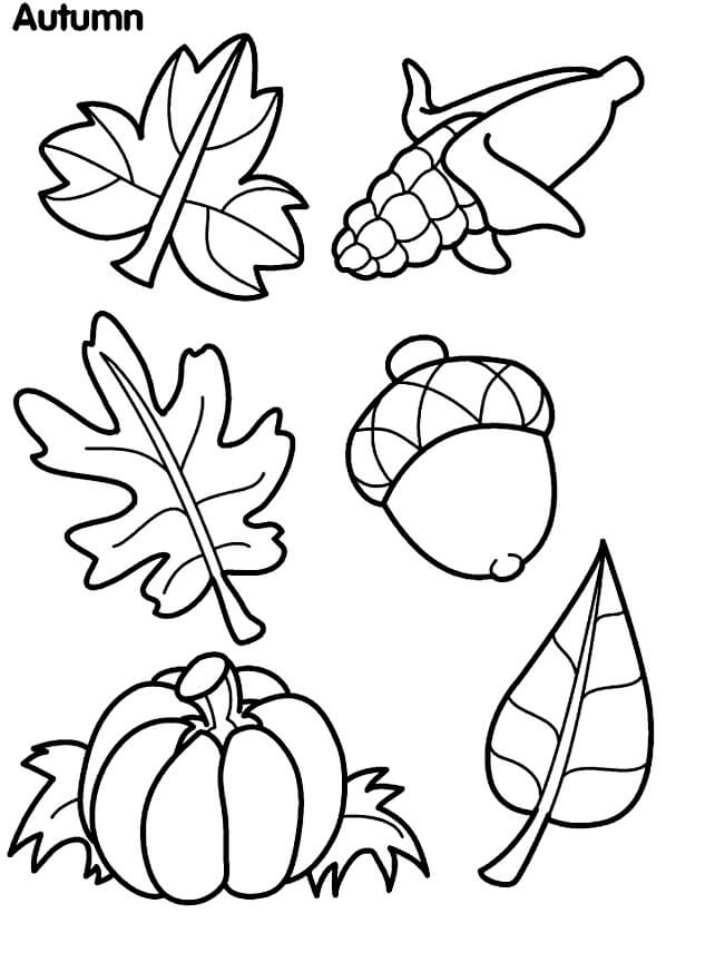 Biji Ek dan hal-hal lain di Musim Gugur