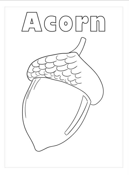 Biji Ek yang Sempurna