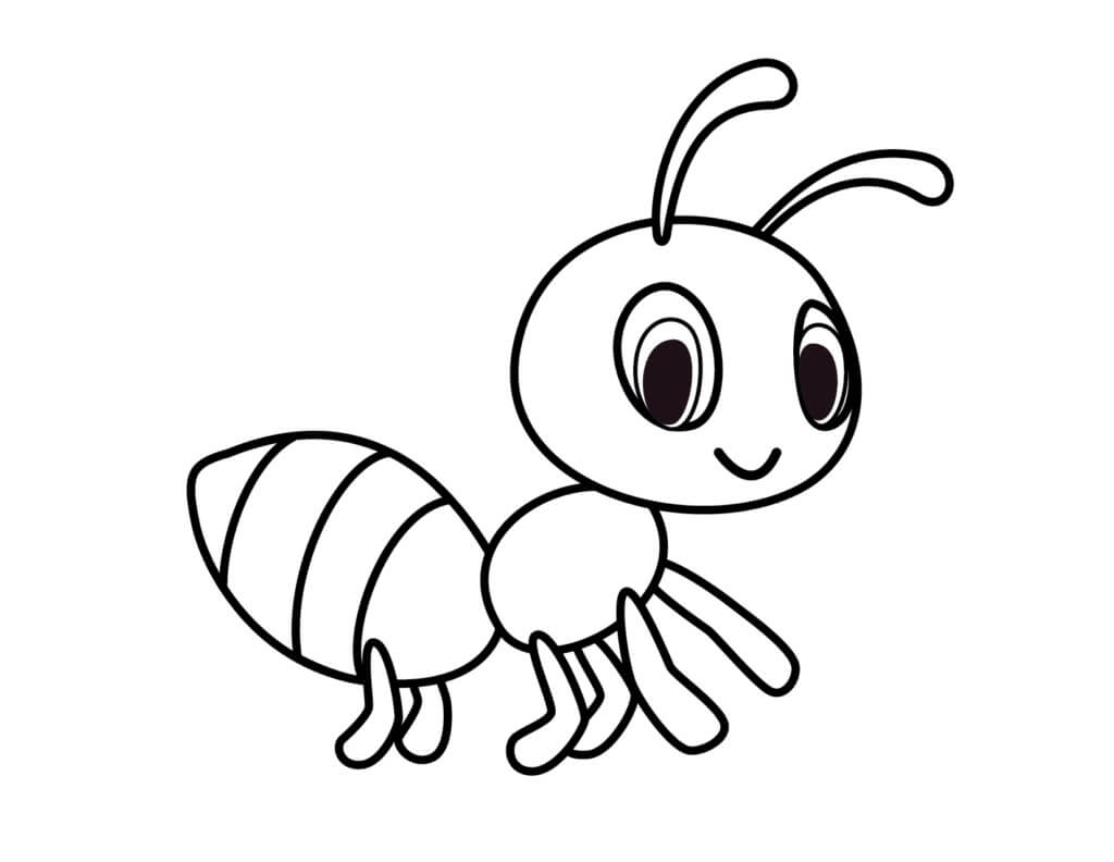 Semut yang Imut-imut