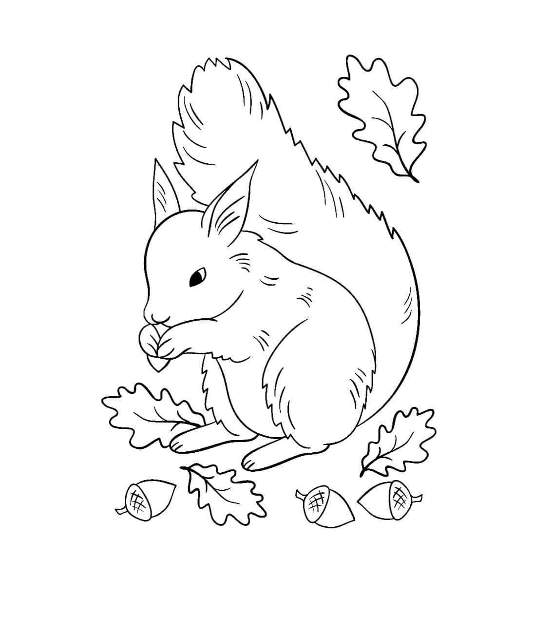 Tupai dengan Biji dan Daun