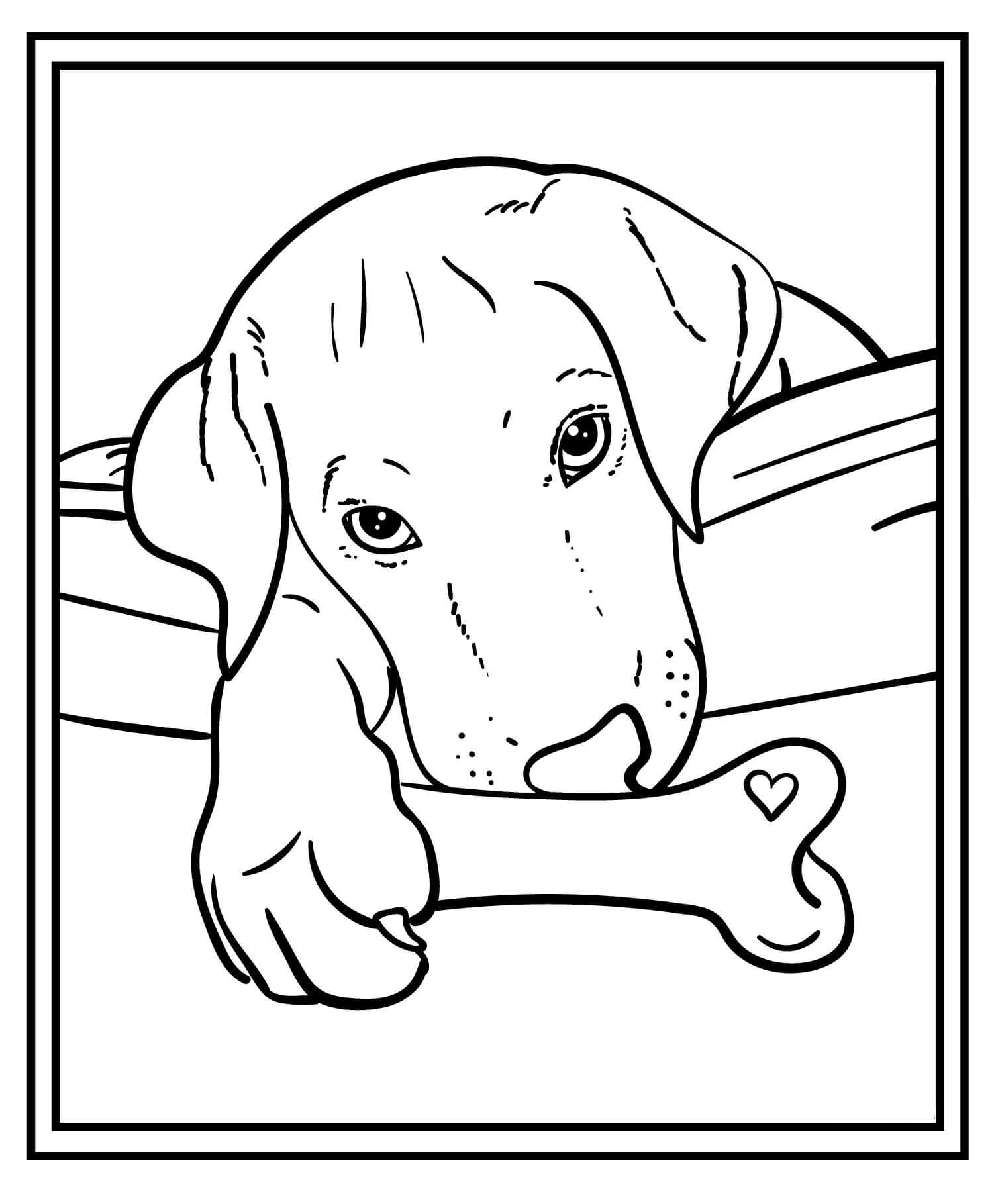 Anjing dengan Tulang